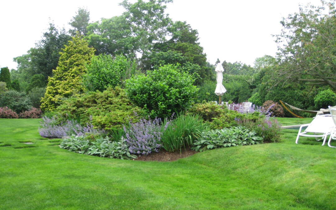 Transplanting Plants in the Fall
